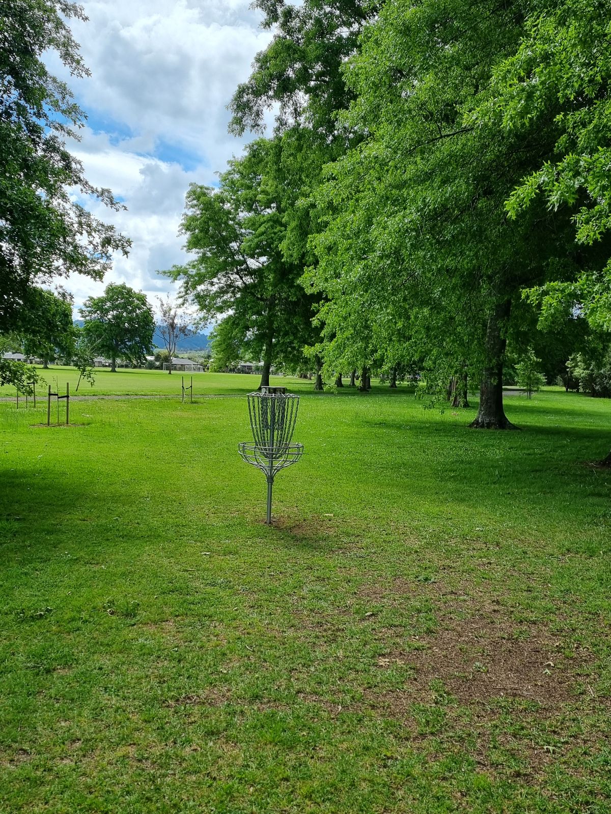 Hole 6 basket