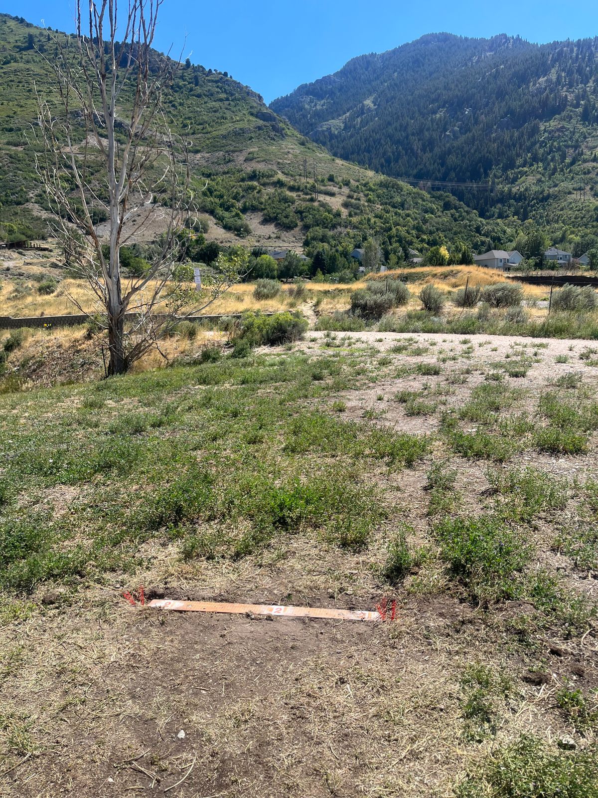 Hole 2 red tee pad