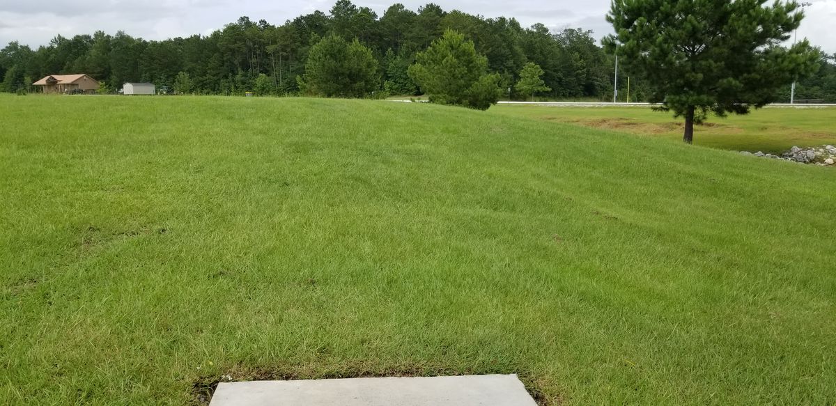 Tee 13. The basket you see is 15. Basket 13 is almost straight ahead behind the incline. (Tee 14 is on the left across a path.)