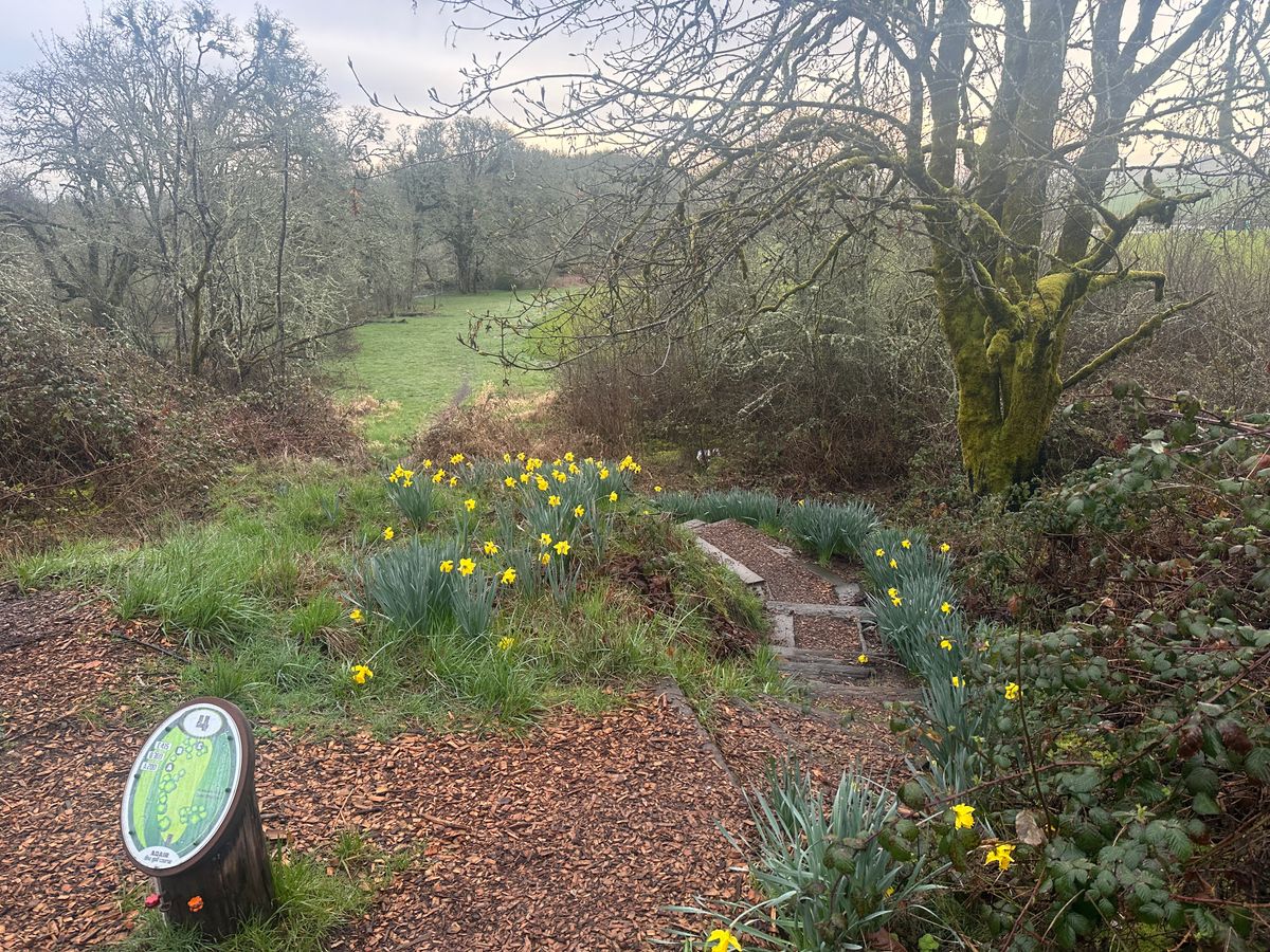 Hole 4, March 22, 2025