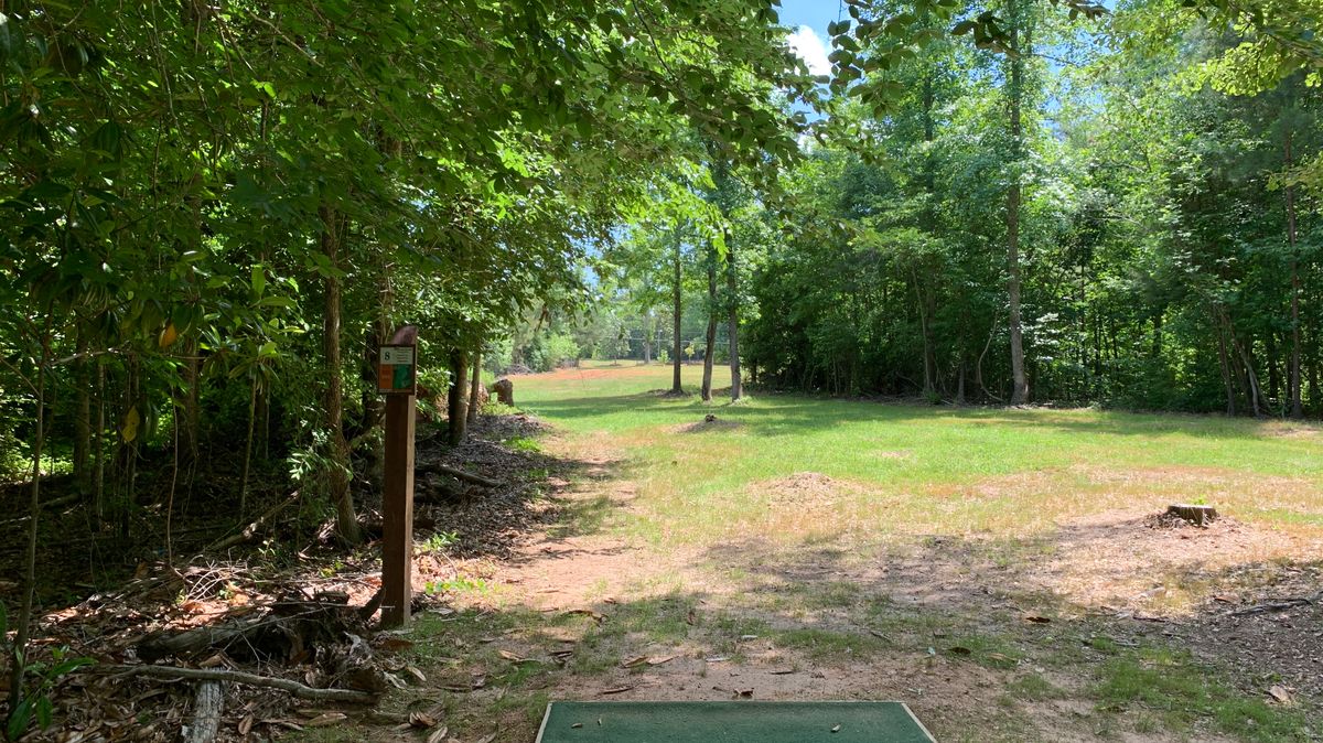 Hole 8