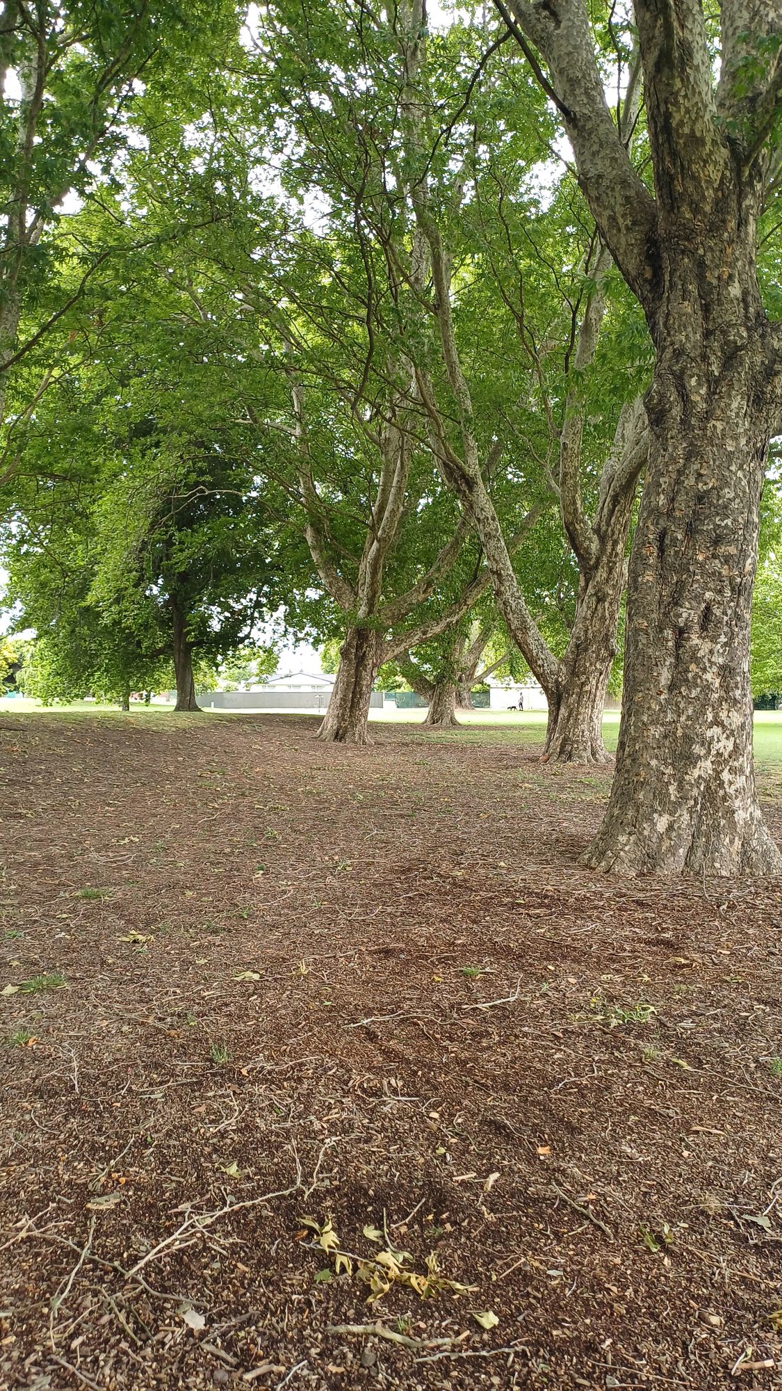 Hole 6