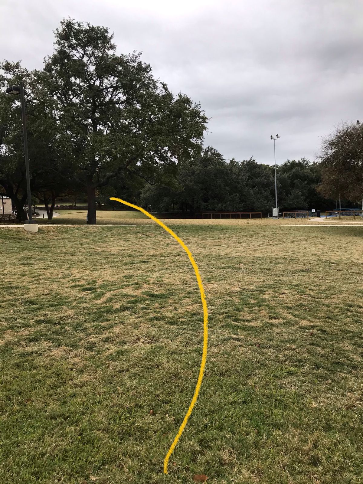 #11 second half of fairway to #2 basket. Mandatory right of light pole.
