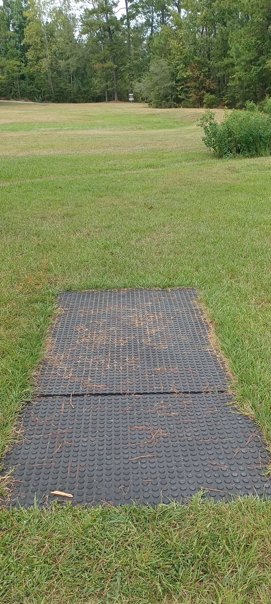 Hole 8
