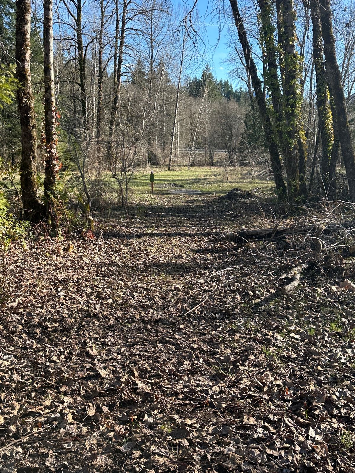 Hole 17 (hole 7 on steroids)