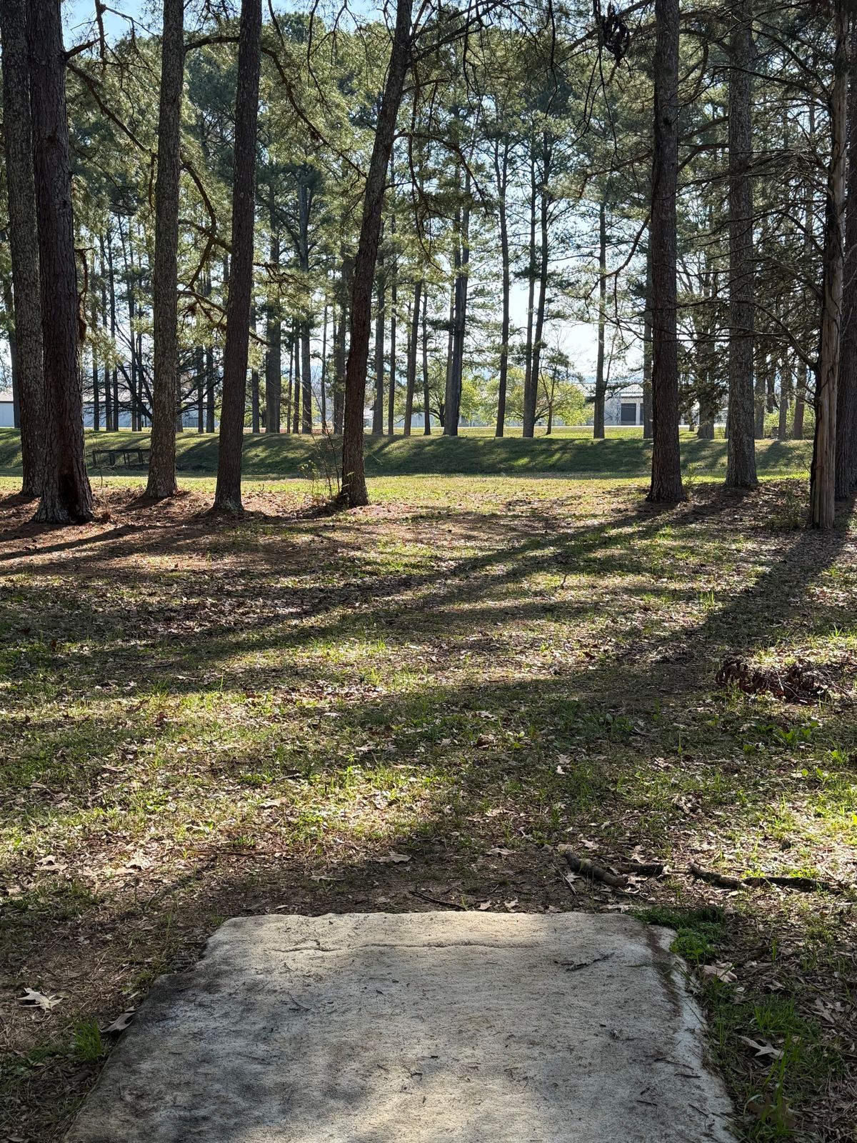 Hole 13 Tee box view