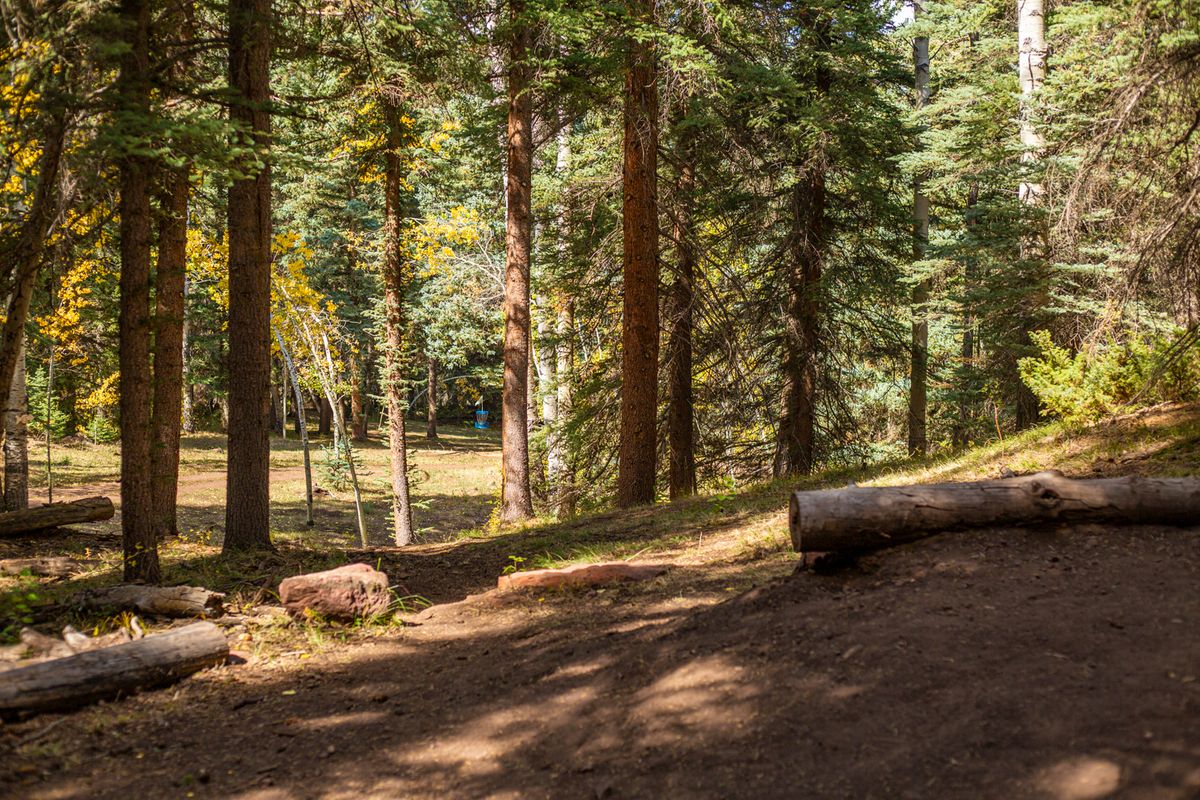 Hole 12 tee with basket in A position 

📸: Kevin Banker || Banker Cinefoto || September 2020