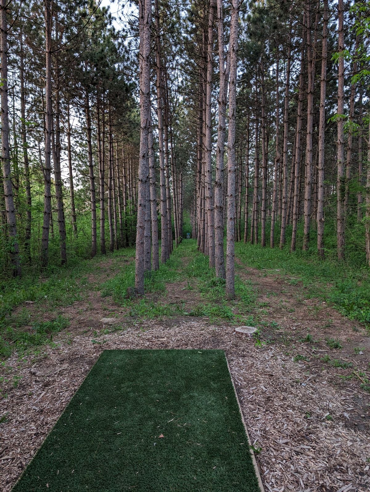 Hole 18. What a beauty.