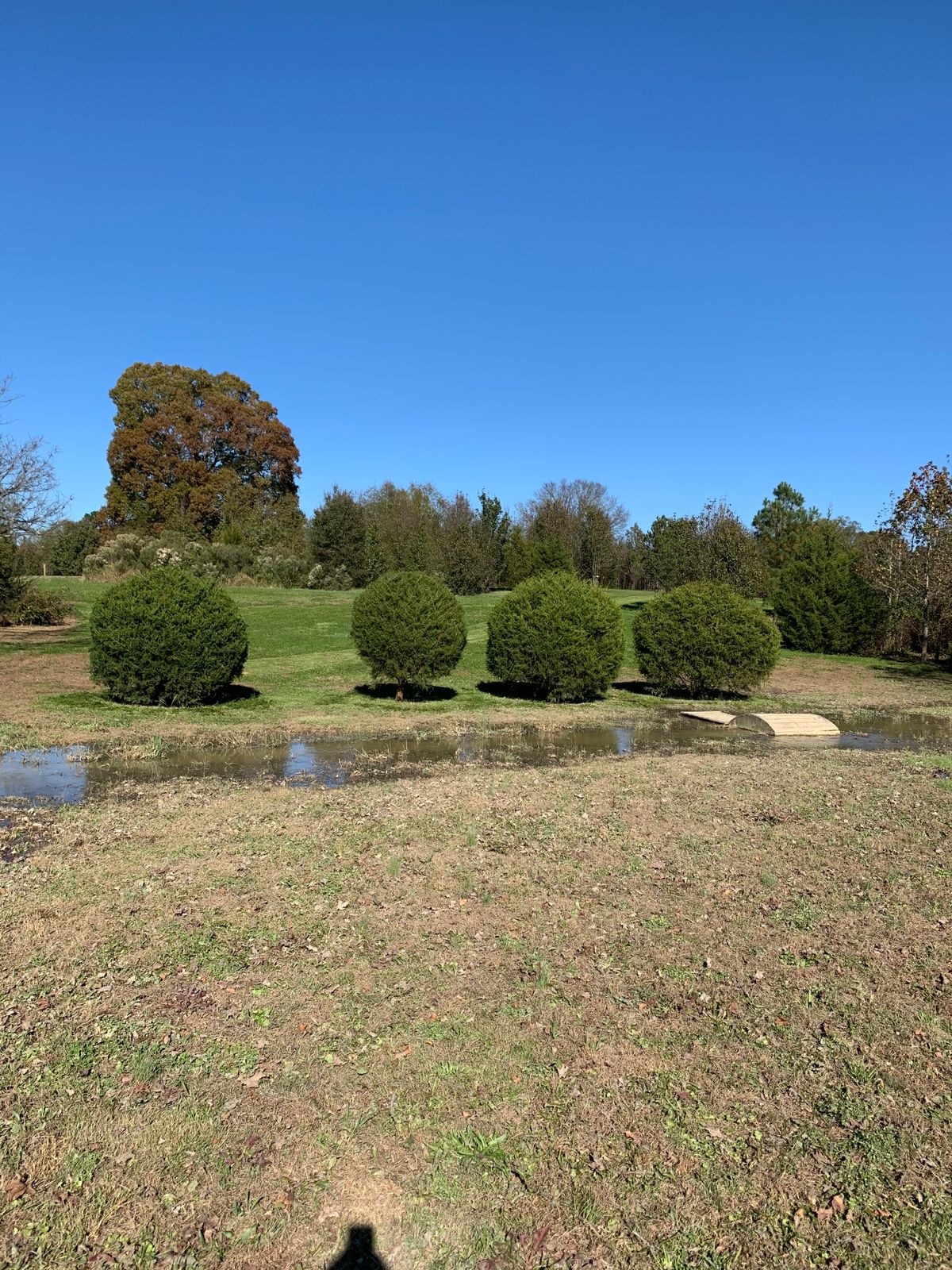 Hole #5 Bushes in fairway 300-320 feet halfway to the basket.