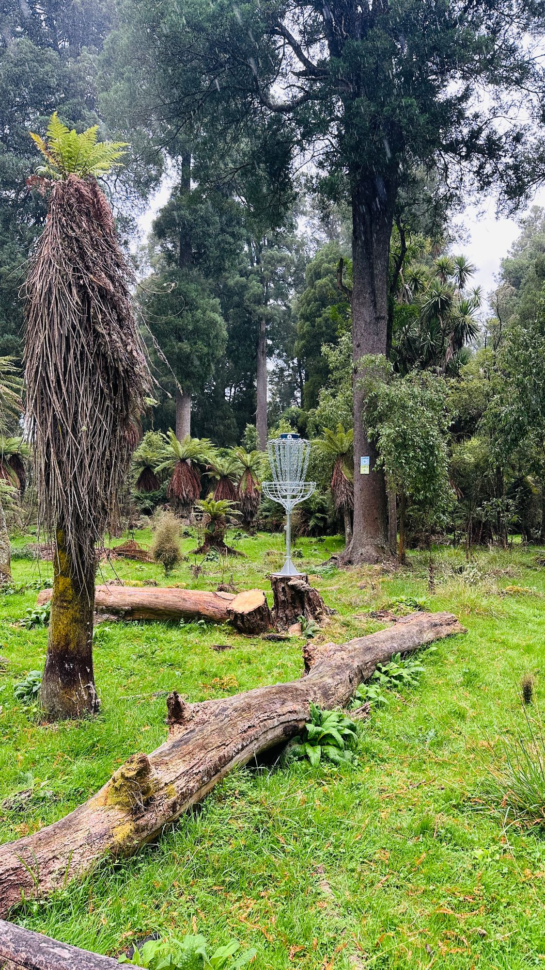 Basket 4 thanks to Taihape Engineering