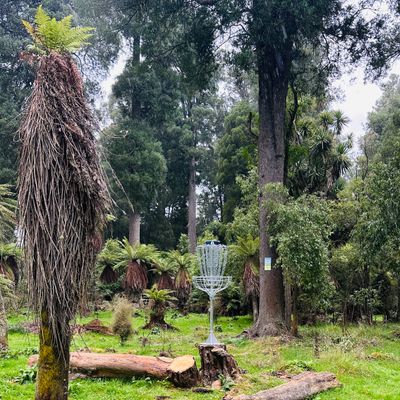 Basket 4 thanks to Taihape Engineering