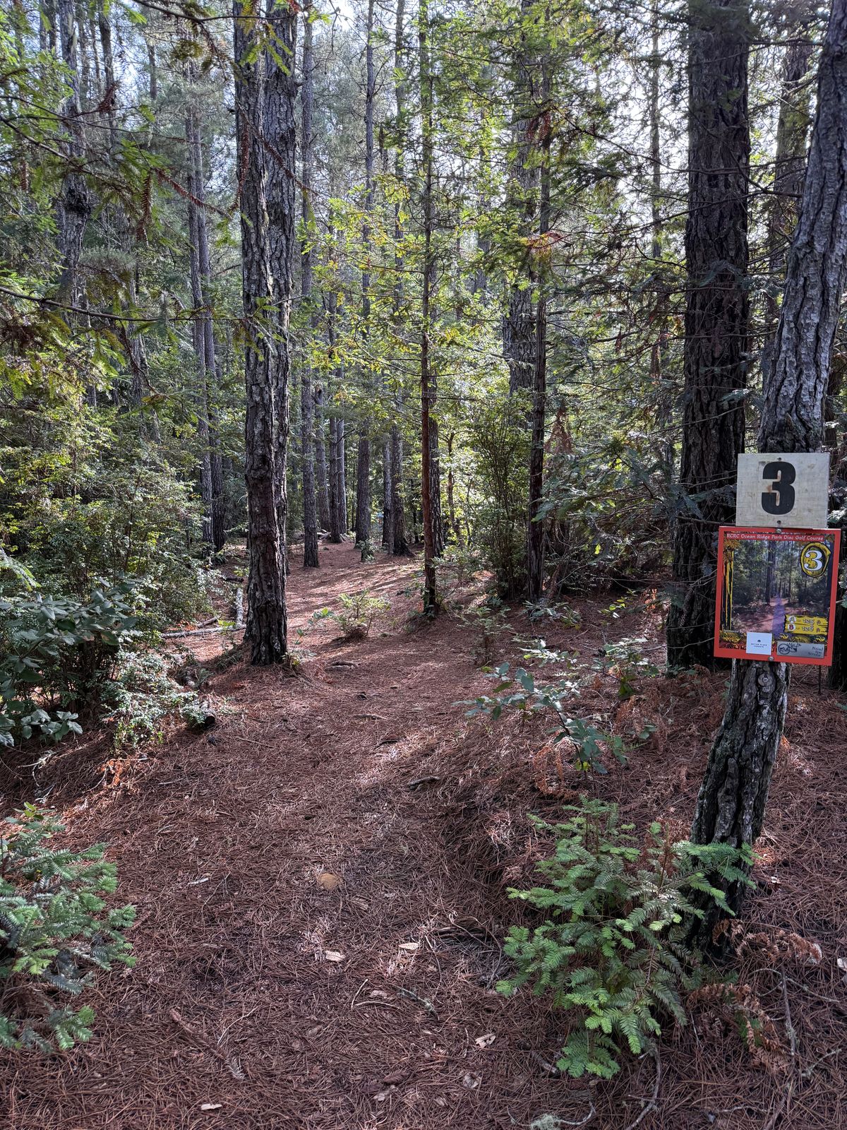 Hole 3 Tee