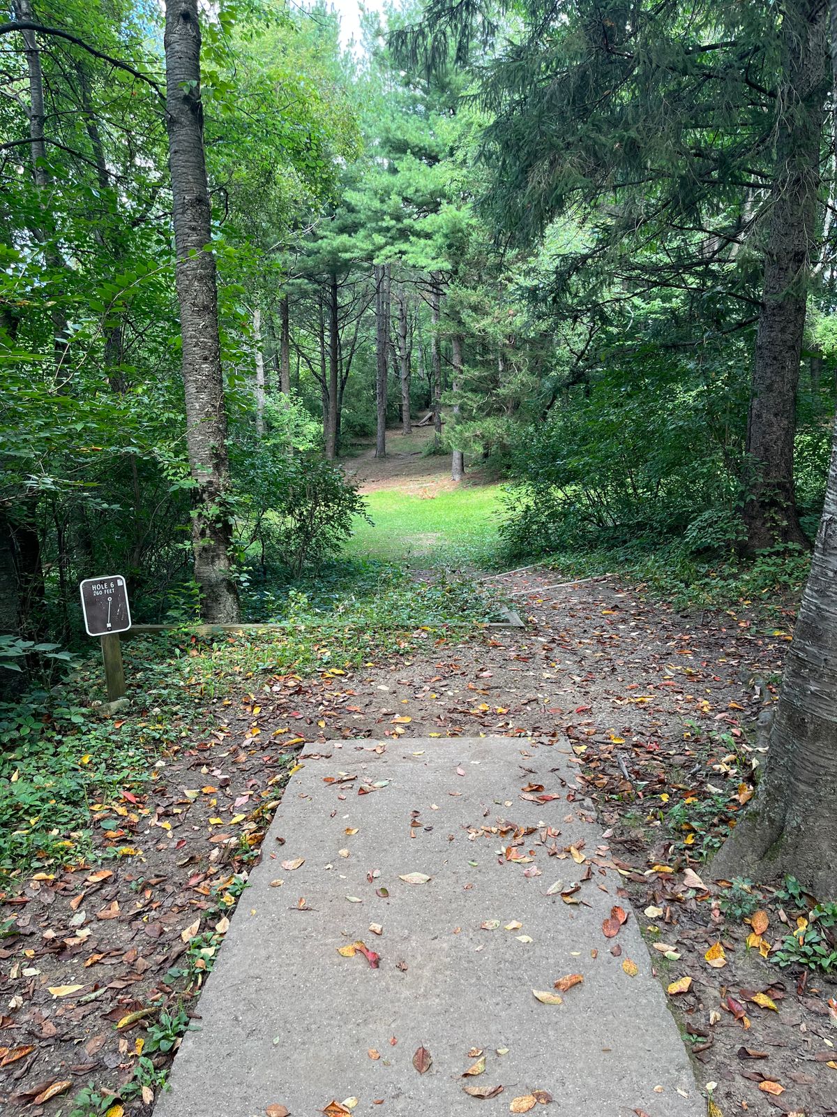 Hole 6