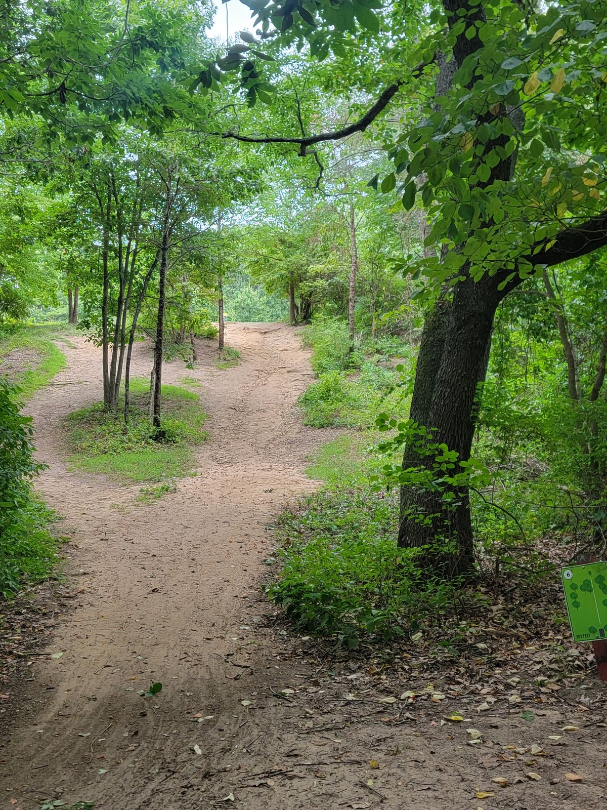 Hole #6