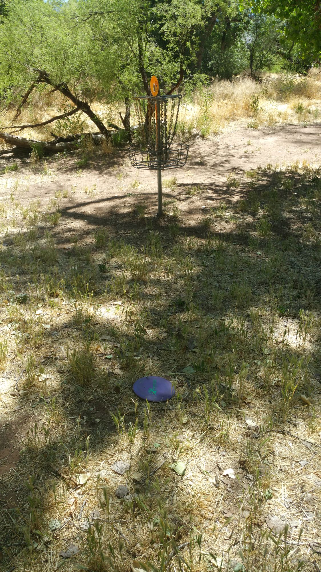 Basket for Hole 9