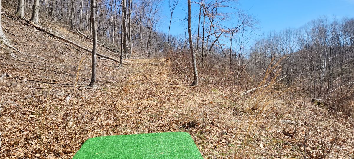 Hole 12