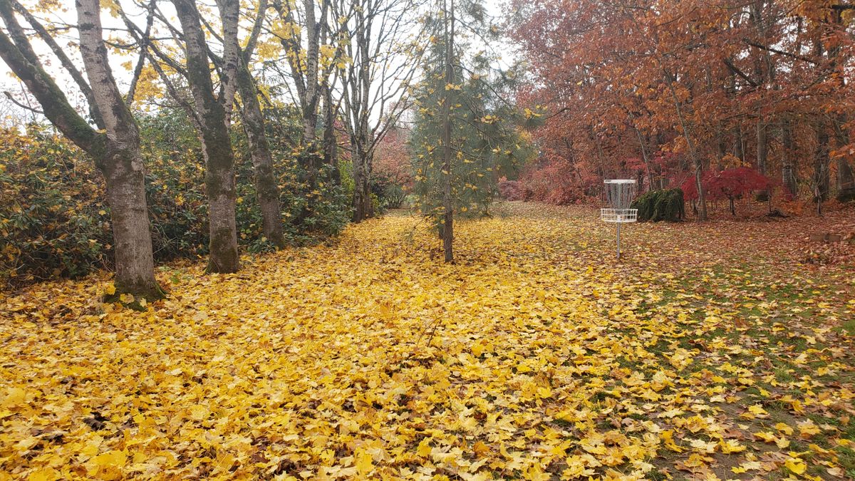 Fall colors at The Hoot