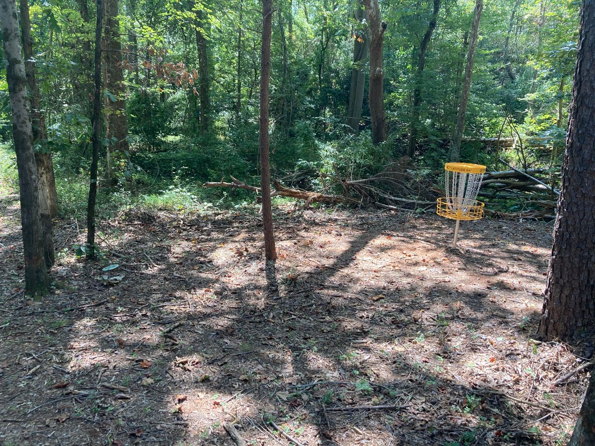 Hole #7: Bottom of the hill