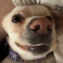 User avatar image