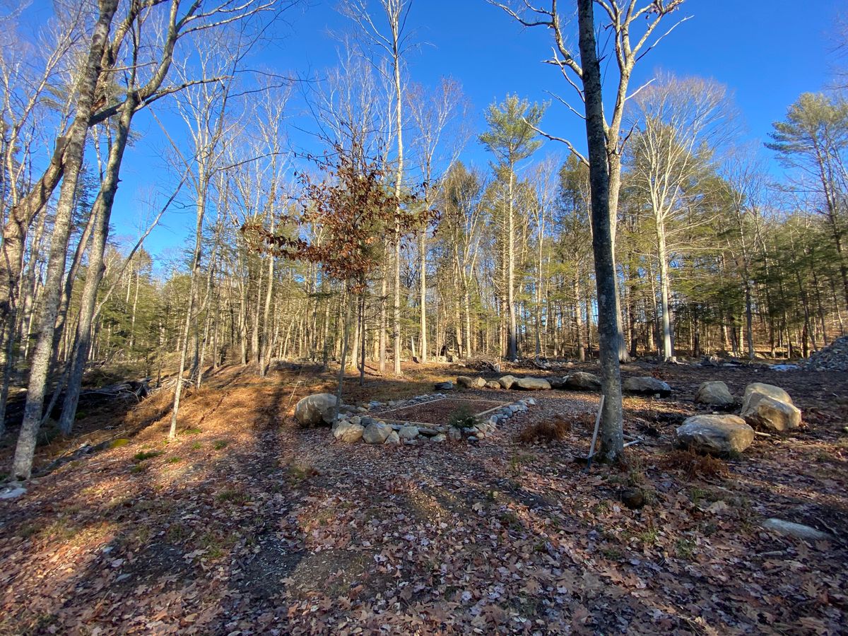 Looking back towards tee box 1