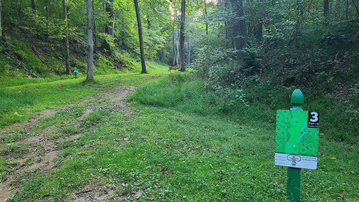 Hole 3 - Doe and two fawns frolicking in the fairway.