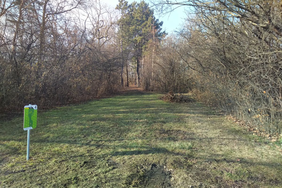 Hole 4