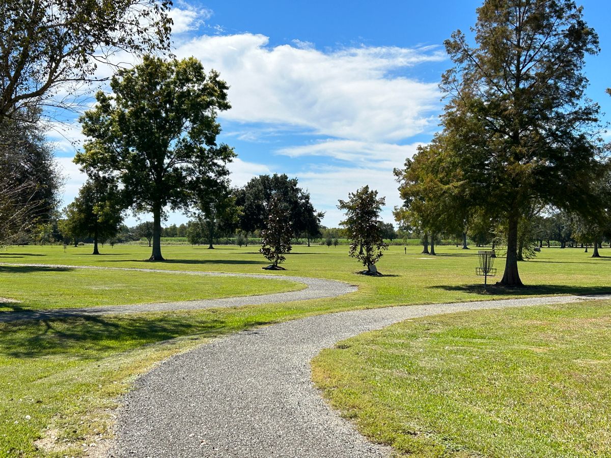Course Aesthetic