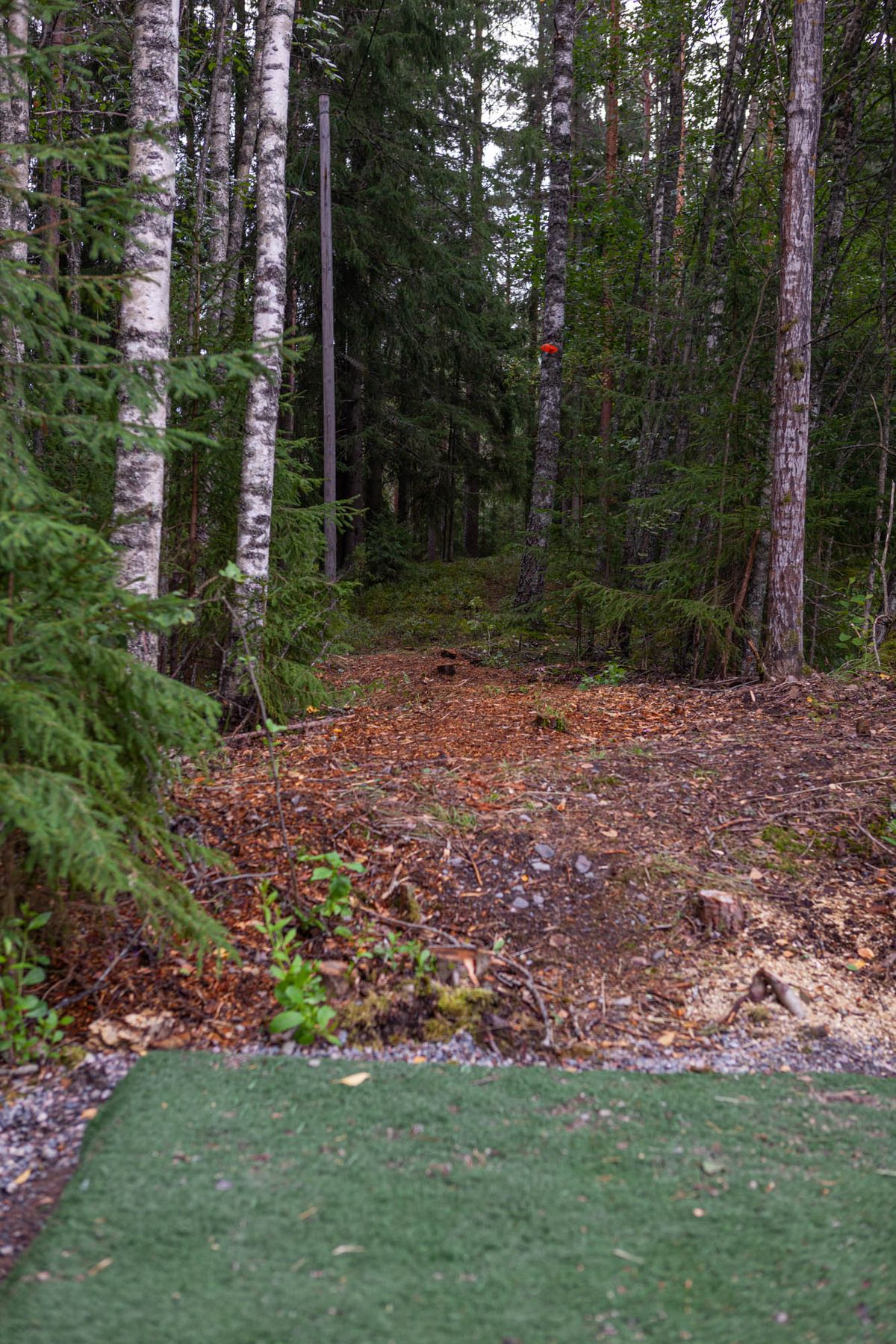 Tee #4. Narrow gap into forest.