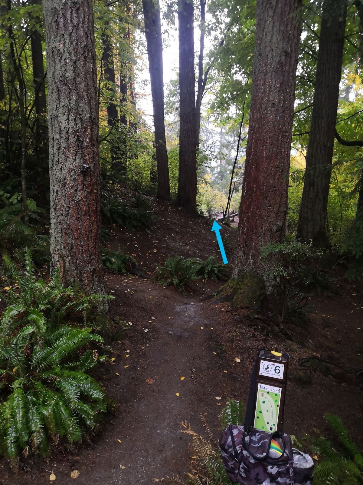 Hole 6
