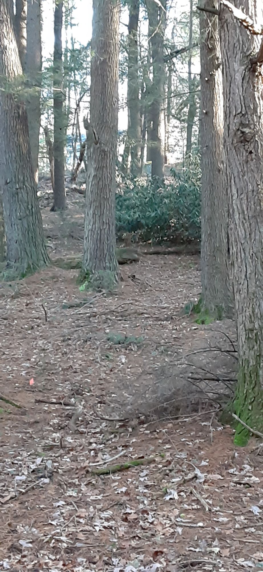 Hole 14 Tee