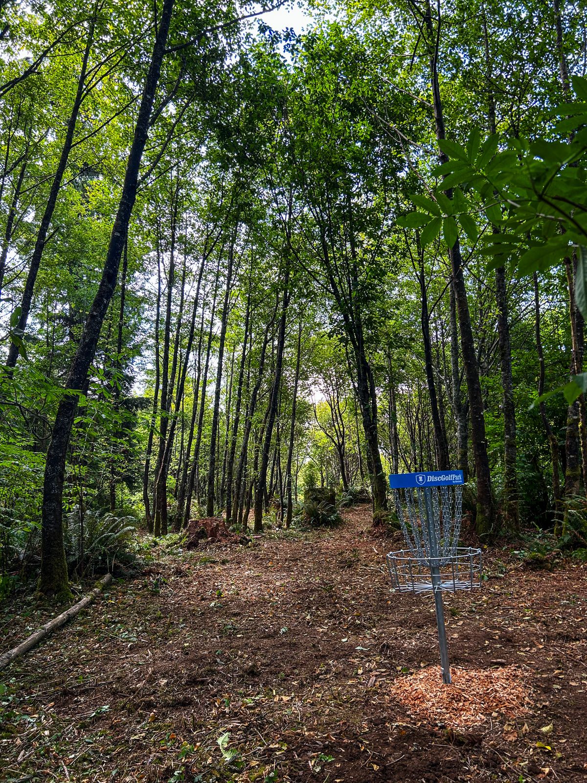 Hole 2. Short but tricky par 4.