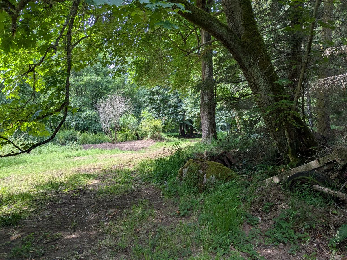 Hole 13 Tee