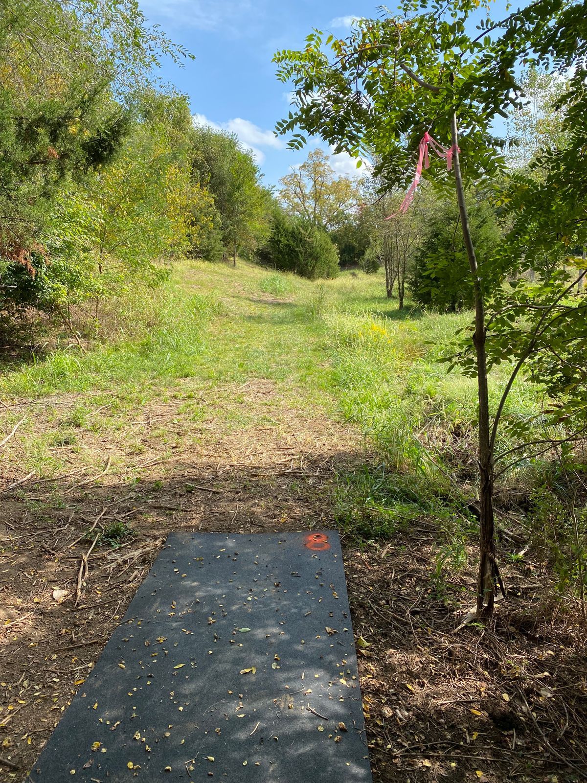 Hole 8 tee