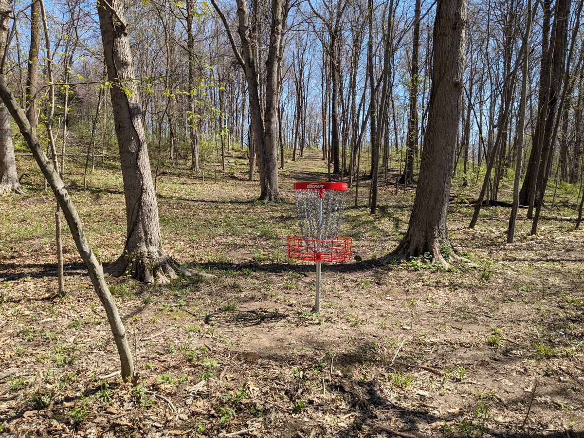 #13 from behind Basket