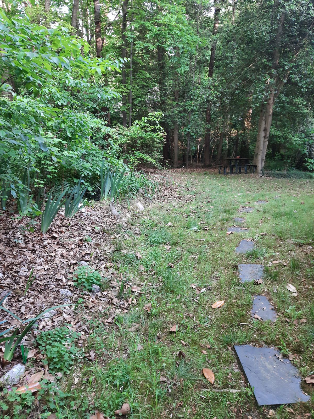 Hole 22 Red Tee