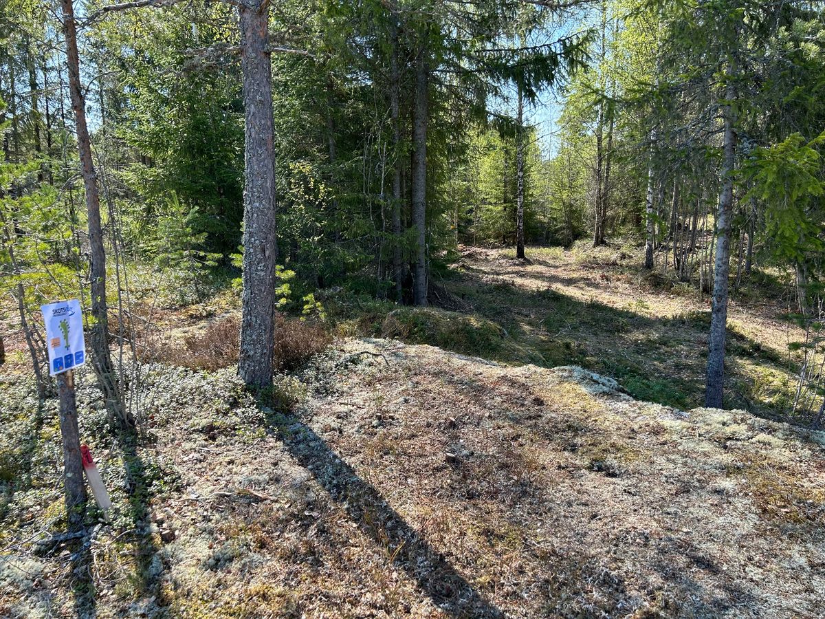 Utkast og kurv hull 1.