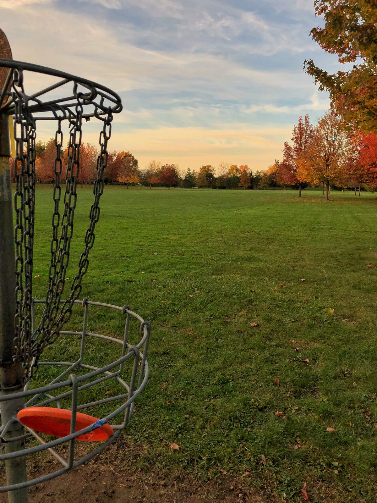 2’s basket looking back up the fairway.