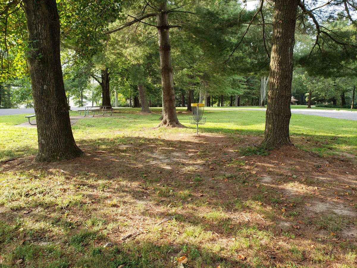 #2 Guarded by pines