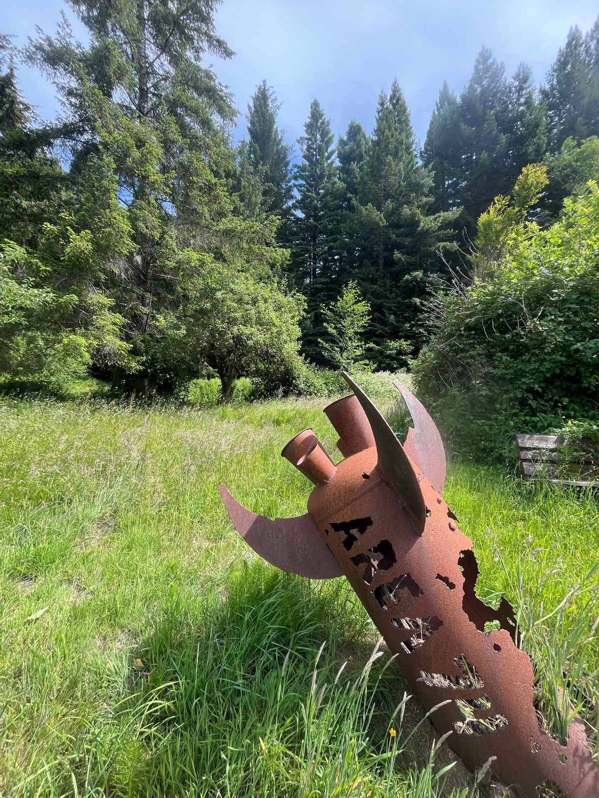 Lots if cool metal welding and torch art on the property.