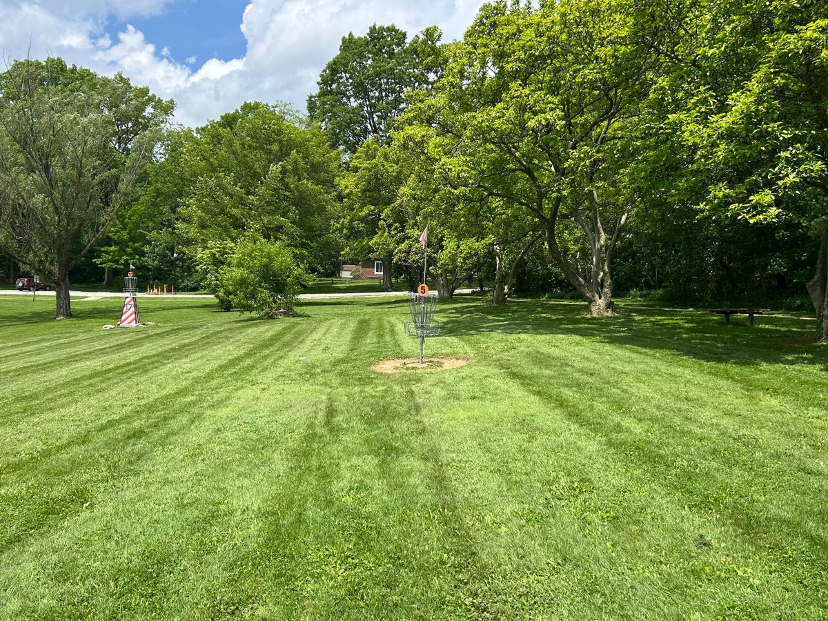 Hole 5 basket