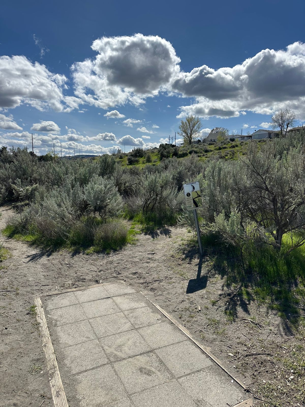 Hole 5 tee pad