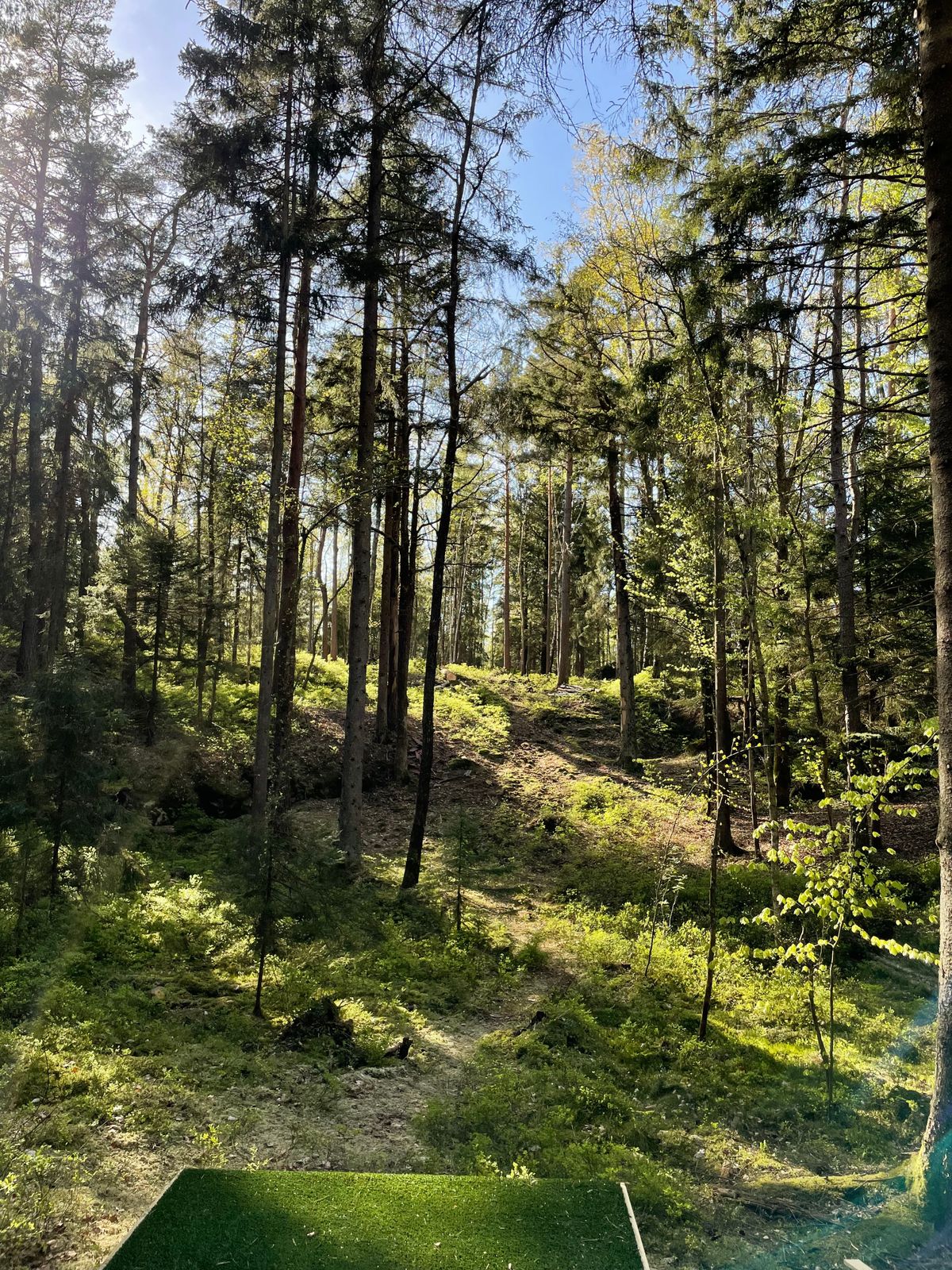 Hål 11 tee