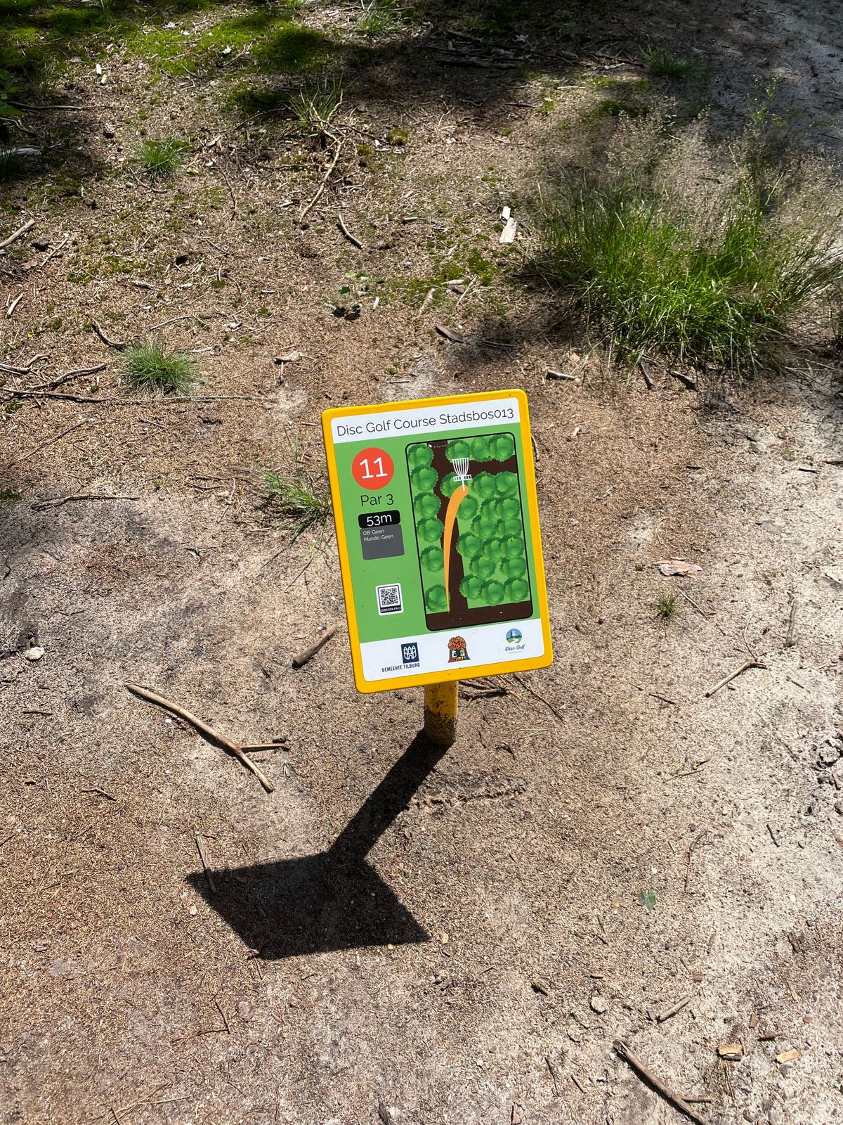 hole 11