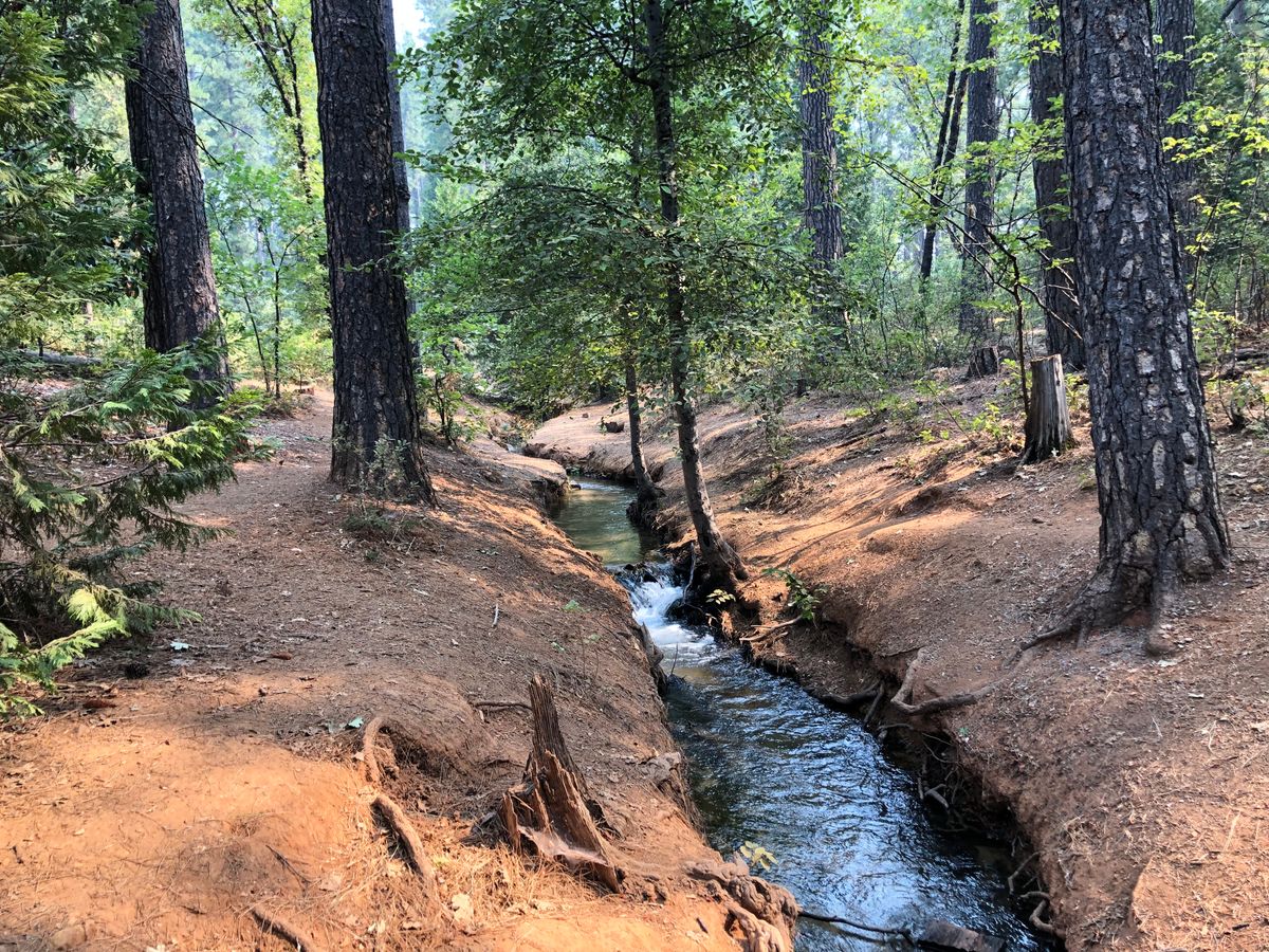 Stream on course