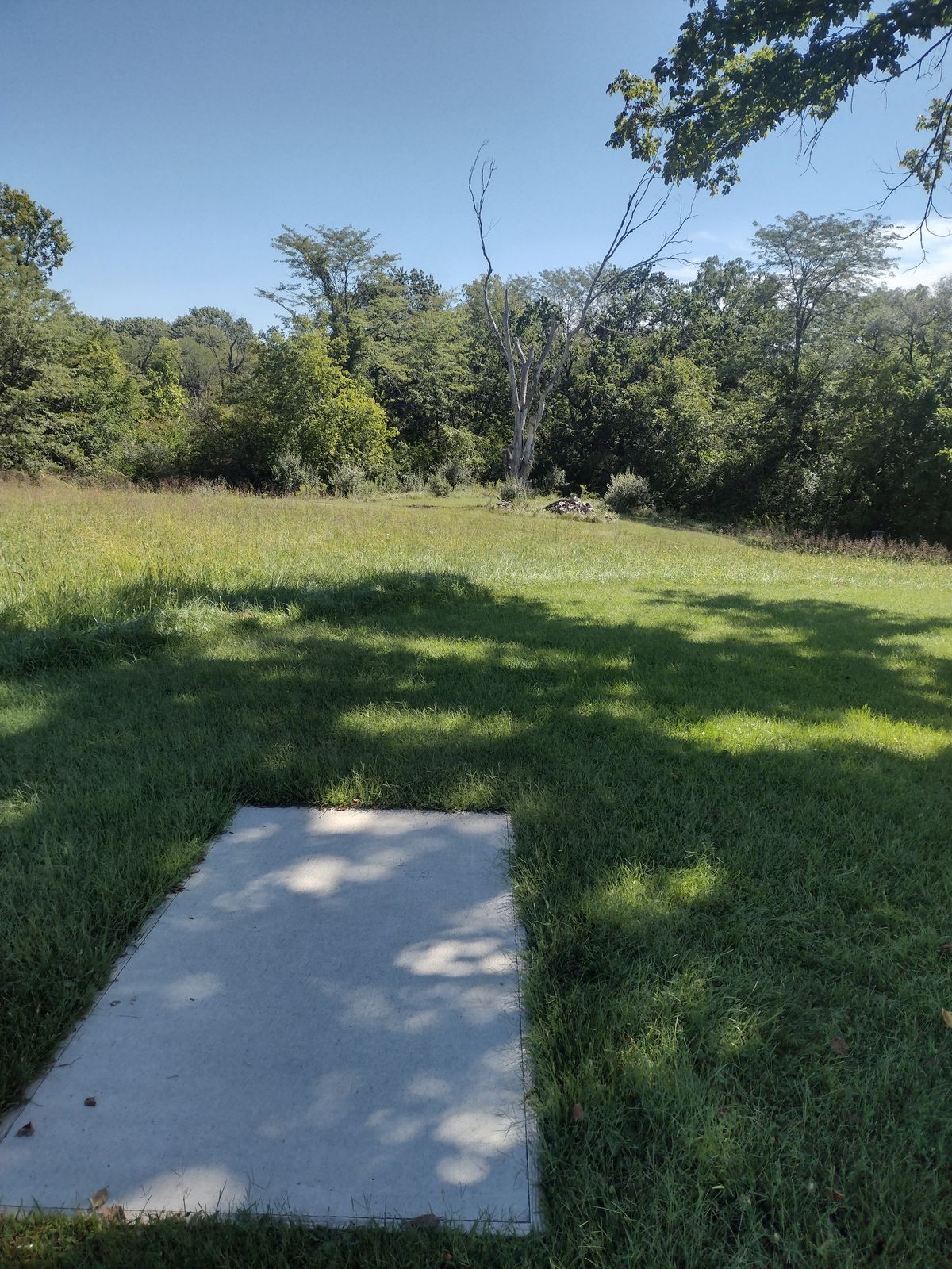 Hole 3 Tee. Basket behind tree.