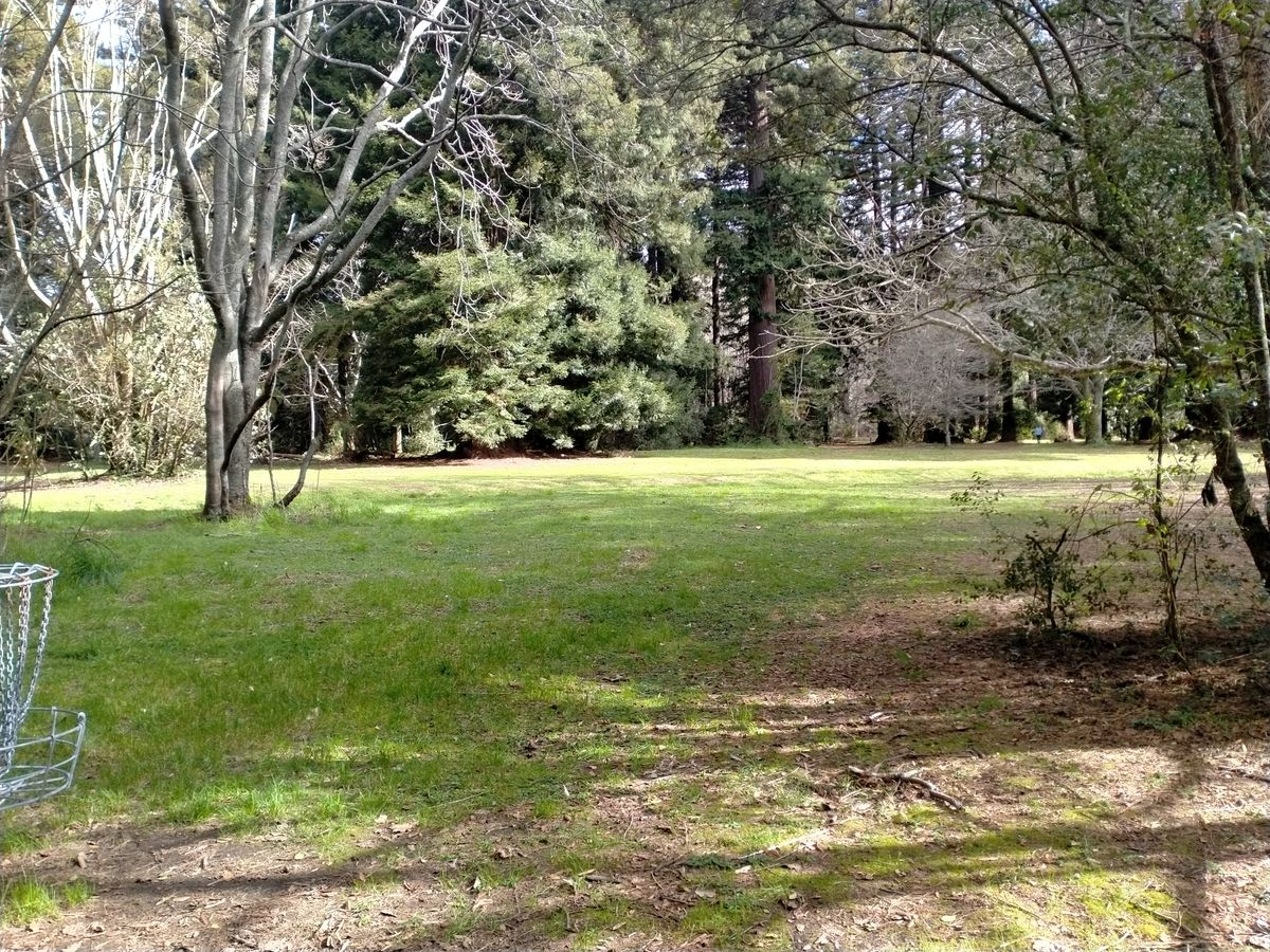 Looking from Basket #4 facing it's fairway.