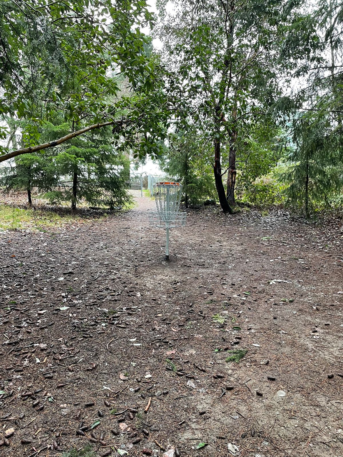 Hole 9 green