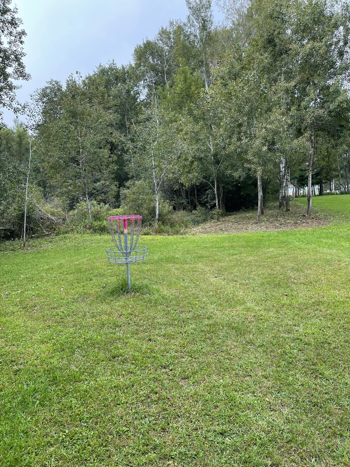 16 looking from behind the basket towards the tee after clearing off the right side rough 