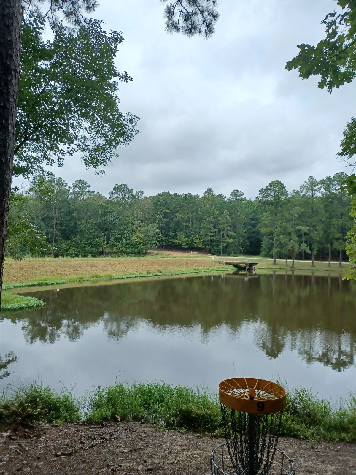 Behind basket. Blue tee on dock. Red tee on the dam.