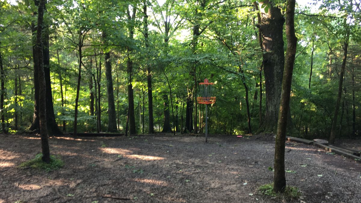 Hole 8